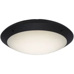 BRILLIANT Außenwand & Deckenleuchte »MEDWAY«, 12 W