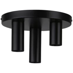 PAULMANN Deckenleuchte »Skogen«, Metall, Schwarz