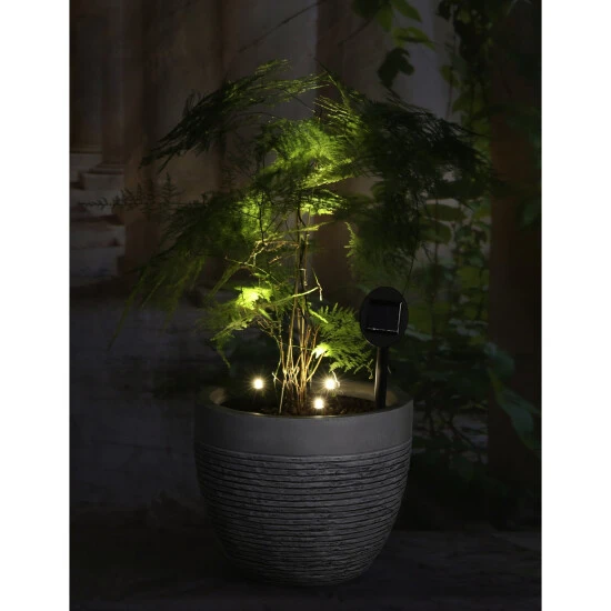 GRANIMEX Pflanzbeleuchtung, Warmweiß, Kunststoff, Inklusive Leuchtmittel 2 GRANIMEX Pflanzbeleuchtung, Warmweiß, Kunststoff, Inklusive Leuchtmittel – Bild 2