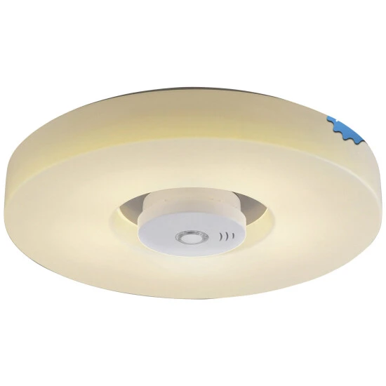 NÄVE LED-Deckenleuchte »Pisa«, Inkl. Leuchtmittel In Warmweiß 1 NÄVE LED-Deckenleuchte »Pisa«, Inkl. Leuchtmittel In Warmweiß