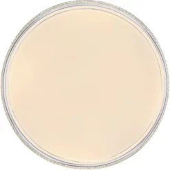 GLOBO Deckenleuchte, Inkl. Leuchtmittel 9 GLOBO Deckenleuchte, Inkl. Leuchtmittel -Leuchten Verkaufsladen unnamed file 5640