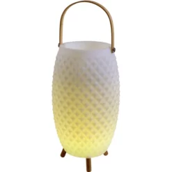 NÄVE Dekoleuchte, LED, Inkl. Leuchtmittel, Höhe: 60 Cm -Leuchten Verkaufsladen unnamed file 5849