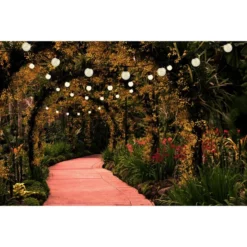 NÄVE LED-Lichterkette »Crackle Chain «, 4,5 M Mit 10 Glühlampen 7 NÄVE LED-Lichterkette »Crackle Chain «, 4,5 M Mit 10 Glühlampen -Leuchten Verkaufsladen unnamed file 6939