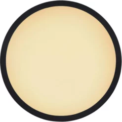 GLOBO Deckenleuchte, Inkl. Leuchtmittel -Leuchten Verkaufsladen unnamed file 6976